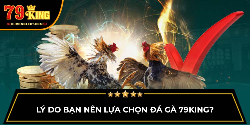 Lý do bạn nên lựa chọn đá gà 79King?