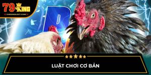 Luật chơi cơ bản