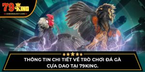 Thông Tin Chi Tiết Về Trò Chơi Đá Gà Cựa Dao Tại 79king.