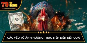 Các yếu tố ảnh hưởng trực tiếp đến kết quả