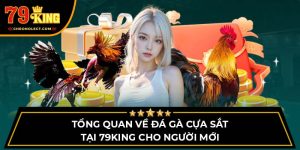 Tổng Quan Về Đá Gà Cựa Sắt Tại 79KING Cho Người Mới