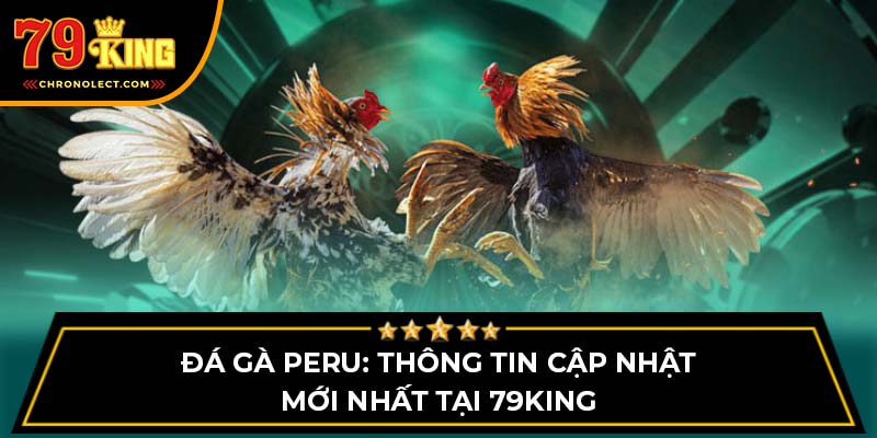 Đá Gà Peru: Thông Tin Cập Nhật Mới Nhất Tại 79KING