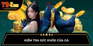 Kiểm tra sức khỏe của gà